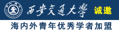 成人日穴网诚邀海内外青年优秀学者加盟西安交通大学